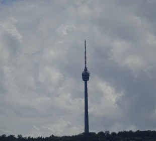 Fernsehturm vom Rosensteinpark aus