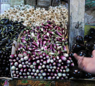 Targ warzyw i owoców, piękne bakłażany