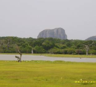 schöne Landschaft im Yala Nationalpark
