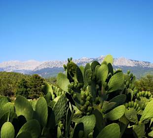 Stadtrundgang Belek - Bogazkent