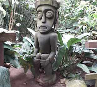 Weltvogelpark Walsrode