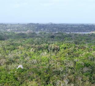 Ausblick von Pyramide in Coba