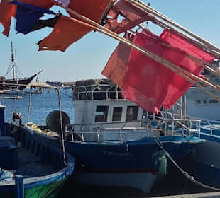 Mahdia: Fischereihafen