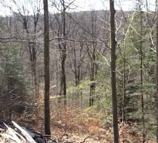 Geologischer Lehrpfad Kirnbachtal