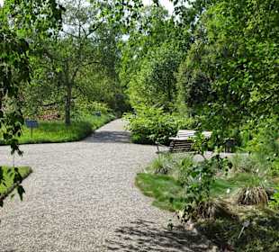 Eindrücke vom Rundgang durch den Berggarten