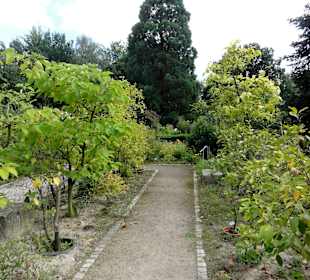 Rundgang durch den Botanischen Garten Oldenburg