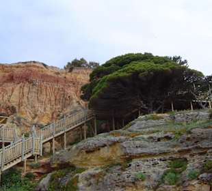 Weg zur kleiner Badebucht
