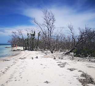 Strand Cayo Blanco