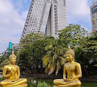 Blick vom Seema Malaka Tempel Colombo 