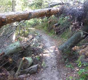 Wandern Oberbozen nach Maria Himmelfahrt