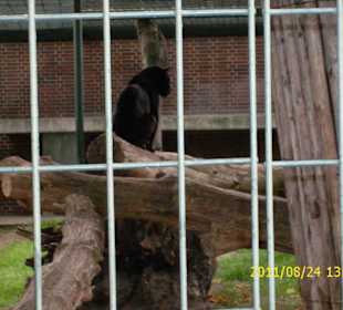 Besuch im Berliner Zoo