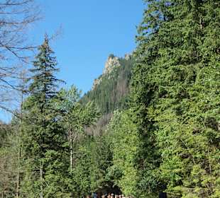 Tatrzański Park Narodowy