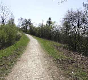 Monte Kik