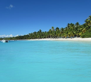 Insel Saona