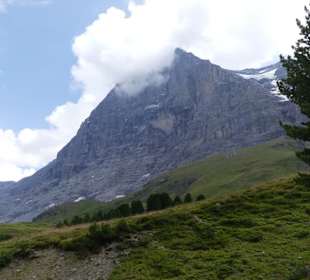 Blick auf den Eiger 