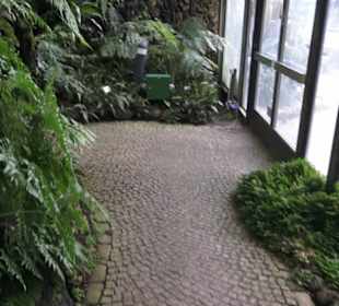 Farnhaus -  Alter Botanischer Garten