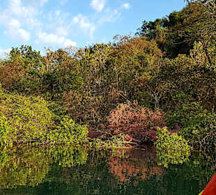 Rundreise Costa Rica Pazifikküste