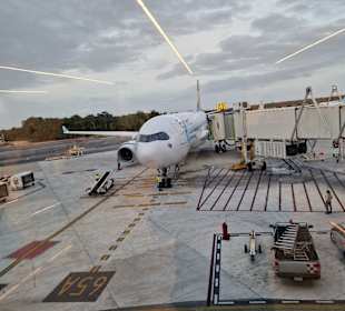 Flughafen Playa del Carmen (PCM) 