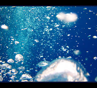 Delphintour 02.05.2012