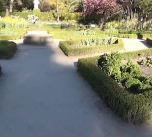 Real Jardín Botánico de Madrid