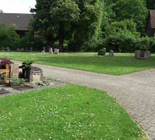 Neuer Friedhof