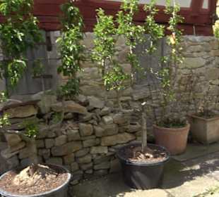 Fachwerkhaus Altenhoferstraße 3