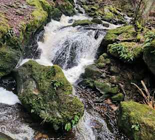Gartenanlage