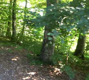 Ameisenlehrpfad Holzelfingen