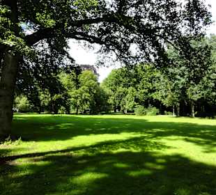 Spaziergang durch den Waller Park