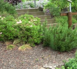 Altstadt Bad Waldsee