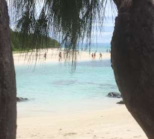 Strand