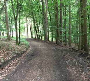 Schutzgebiet Spitzberg, Pfaffenberg