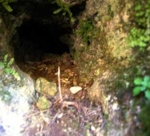 Im Felsen kleine Höhlen