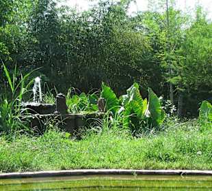 В зоопарке Бали