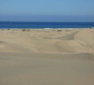 Dünenlandschaft