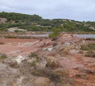 Aktivausflug - Salinen von Mongofre