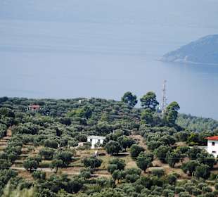 Landschaft