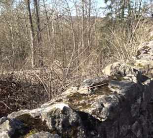 Burgruine Hohenstein