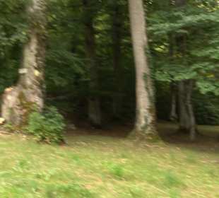 Hochgeträumt Premiumwanderung