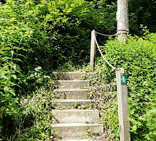 Hier gehts hoch zum Rheinhöhenweg