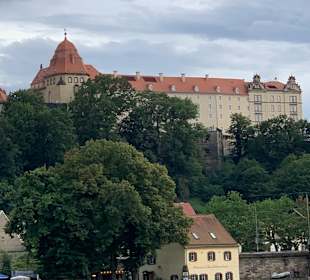 Wandern Pirna