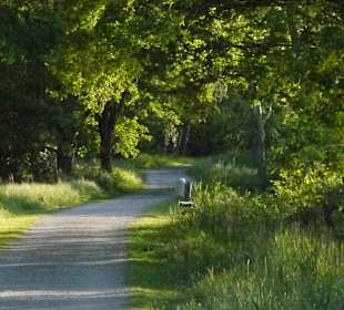 Wandern Isernhagen
