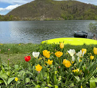 Wandern Diemelsee