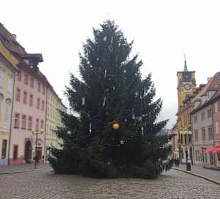 Weihnachtsbaum in Cheb
