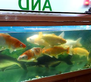 Restaurant Golden Swan