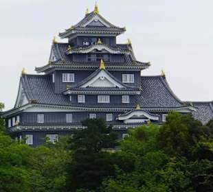 Widok Zamku Okayama z terenu ogrodu.
