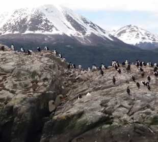 Bootsfahrt Beaglekanal