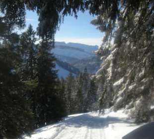 Auf den Wannenkopf bei der Schneeschuhwanderung