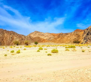 Landschaft