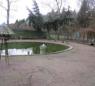 Vogelpark Kirrlach